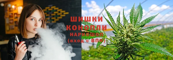 PSILOCYBIN Абаза