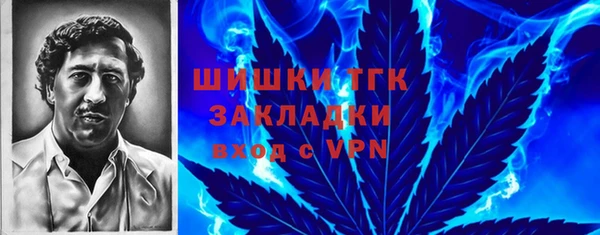 PSILOCYBIN Абаза
